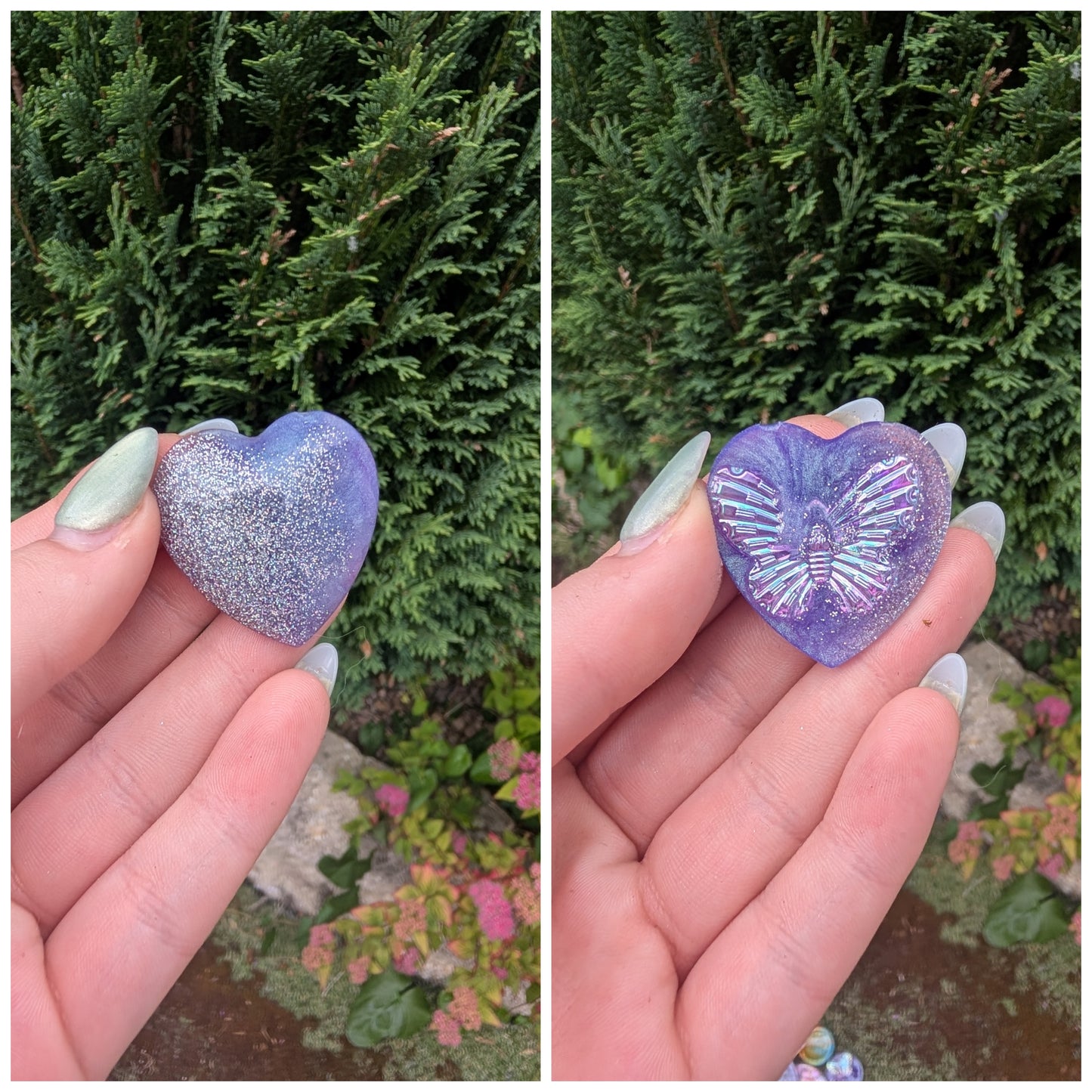 Purple butterfly